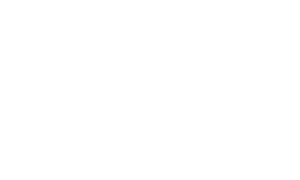 bruynzeel log
